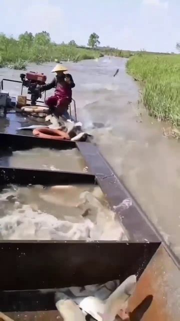 И снастей не надо!)