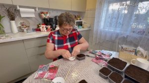 Мартовский посев петунии и пеларгонии