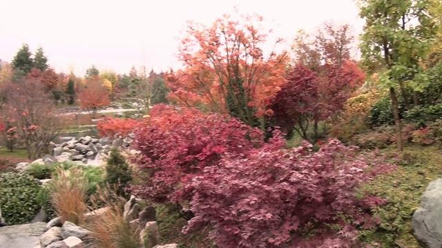 Парк Галицкого Японский сад Краснодар