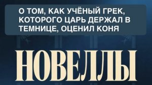 НОВЕЛЛЫ. «О ТОМ, КАК УЧЁНЫЙ ГРЕК, КОТОРОГО ЦАРЬ ДЕРЖАЛ В ТЕМНИЦЕ, ОЦЕНИЛ КОНЯ».