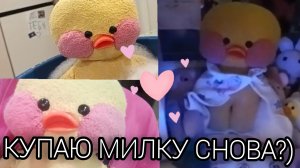 КУПАЮ МИЛКУ СНОВА?)) НАШ ВЕЧЕР С МИЛКОЙ И УТОЧКОЙ КАТЕЙ✨