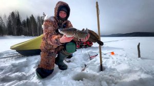 РЫБАЛКА в ГЛУХОЗИМЬЕ на ЖЕРЛИЦЫ / ЛОВЛЯ НАЛИМА , ЩУКИ и ОКУНЯ