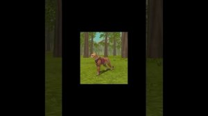 Сериал "Коты Воители: Стань диким!" 1 серия (в стиле WildCraft)