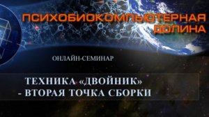0038. 12.02.2011 Вебинар. Техника Двойник - вторая точка сборки