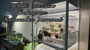 Сборка нового стеллажа, установка ламп и распаковка посылки с растениями