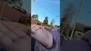 прогулка с подругой