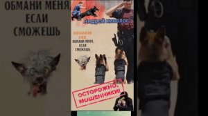 На связи - диспетчер связи