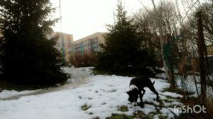 весна идёт)весне дорогу!