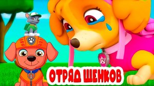 Щенячий Патруль Мультфильм - Отряд щенков к делу готов - Щенячий патруль Мультик