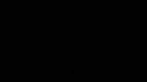 Вопрос : Евреи- Мусульмане