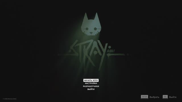 Stray начало