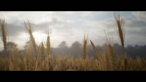 1348 Ex Voto - Official Launch Trailer