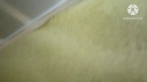 Приключения ТНТ Серия Акварель Медовая Луч Классика 12 Цветов 2026