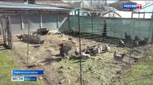 11.30 – «Вести. Адыгея» от 13.03.2026г.