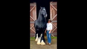 Калейдоскоп 68.