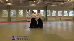 3.Ai Hanmi Ikkyo Variation Ura & Omote Shishiya Sensei Malmö, 2019