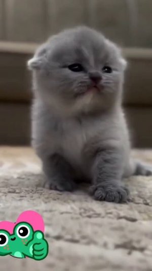 Проснулись?