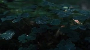 Микс- Шуга+С.Есенин