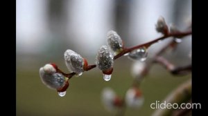 Артём Гельман - Музыка