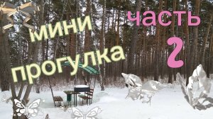 Маленькая прогулка в лесу . Продолжение пошли вместе