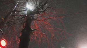 "  Снег то какой , глянь ... " Музыкальная шкатулка .