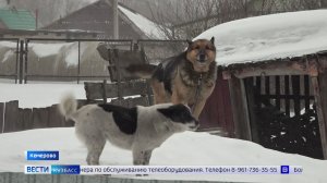 Чужой снег превратил участок кемеровчанки в трёхметровый сугроб