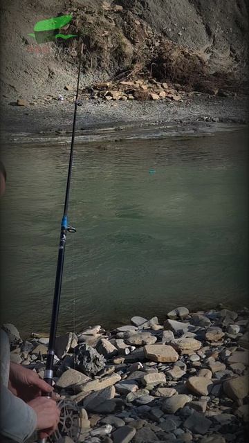 40+ Рыбакам. поплавок Высоцкого PROnyra #кораблик #санки #балда