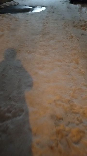 №1676 Двор П. Осипенко 48. 12 марта 2026 г., 20:53:47 VID_20260312_205237854