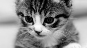 20 фактов обо мне