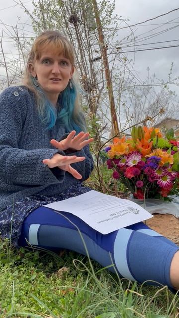 Родительское собрание в США — вы будете удивлены