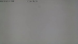 LIVE: channel43489494