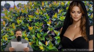 Муж стыдился свою жену пьяницу, но она заставила его встать перед ней на колени....