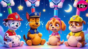 Щенячий патруль и Маршалл. Залипательное видео. Мультфильм для детей и малышей. Анимация 372