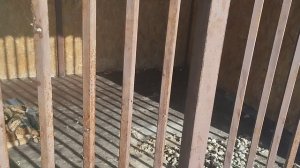 Нервный срыв, реву