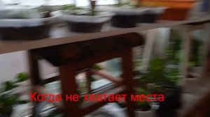 12.03.19.00.ДОМАШНЯЯ МИНИ ТЕПЛИЦА.ГОТОВИМ РАССАДУ.00.53.