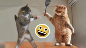 Смешные и забавные животные 😻😺 Лучшие приколы с животными 🐶 Подборка забавных животных