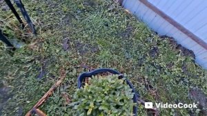Наши 8,4 сотки🏡Первые весенние работы на нашем участке.👍