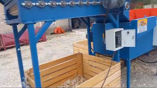 Линия вторичной очистки и калибровки чеснока ТМЗ РЕСУРС .