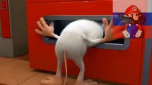 Буба RYTP без мата (Новая RYTP)