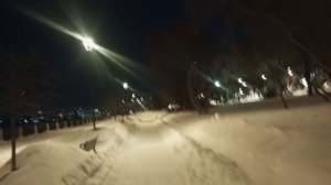 Рубрика "Прогулка" экскурсия