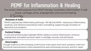 MedBed Hack is Here. What Doctors Aren’t Telling You.