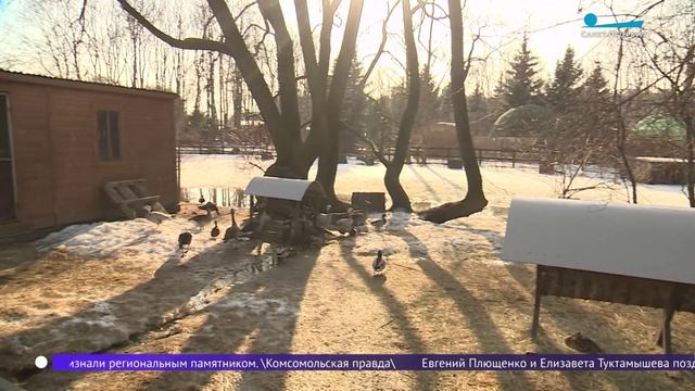 Весна в Ленинградском зоопарке