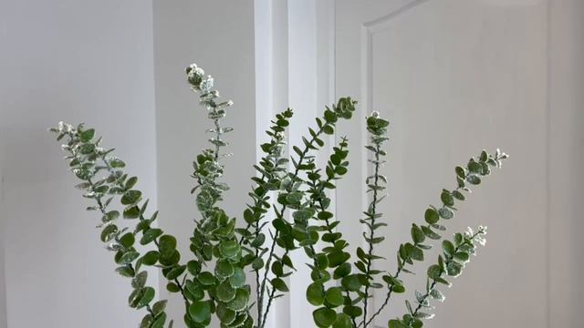 Набор светящихся веток ИРЕН, белый, 50 тёплых белых LED-огней, 90 см, 3 шт., уличный, 1167275