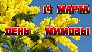 *** ВЕТКА МИМОЗЫ–КАПЛЯ ВЕСНЫ *** С ДНЁМ МИМОЗЫ!