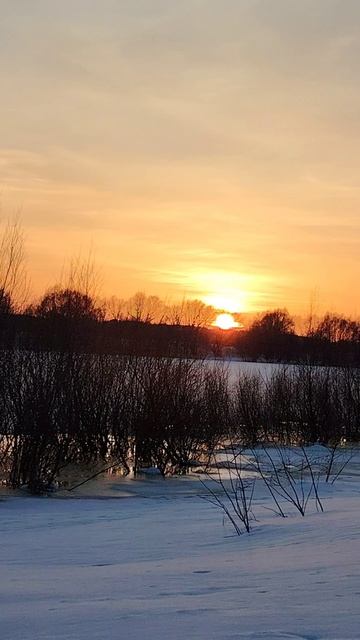 Красивый цвет закатного неба ( 13 марта)