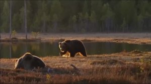 Святая Русь - Завет Предков
