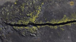 Эта находка в Антарктиде меняет наши представления о жизни на Земле