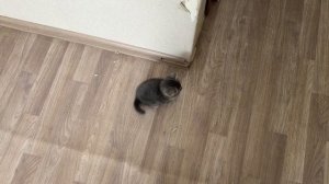 теперь мы же на ты . март