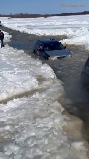 Весенний заплыв