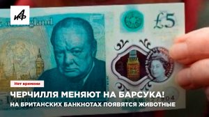 Черчилля меняют на барсука! На британских банкнотах появятся животные